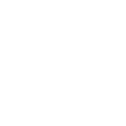 Prompt Consulting