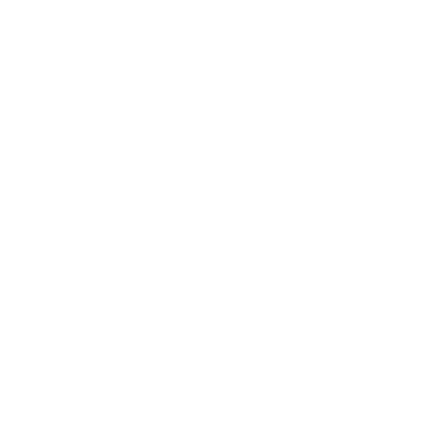 PromptConsulting