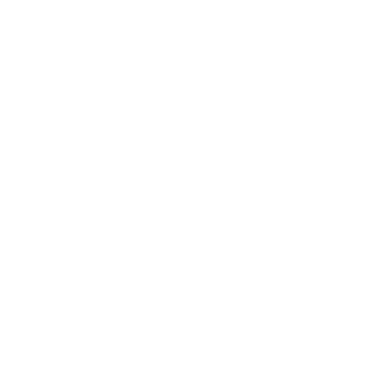 Logo PromptConsulting