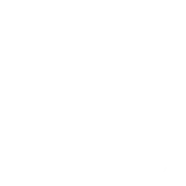 PromptConsulting